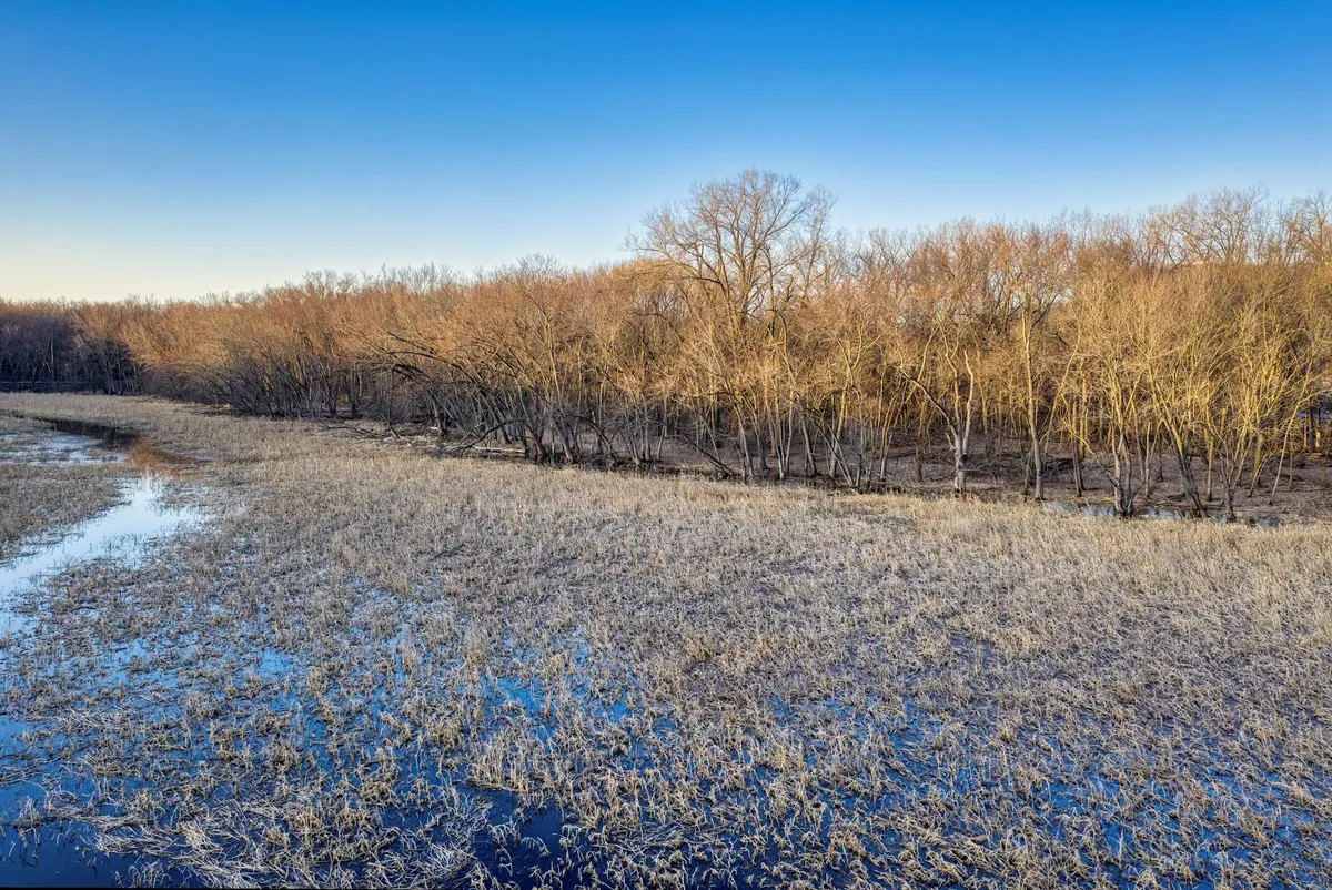 A wide view of a frosty meadow and wetland at golden hour, with shallow water pooling along the left edge and leafless trees glowing warm in the low sun. The blue sky and pale grass create a quiet winter pastoral scene.