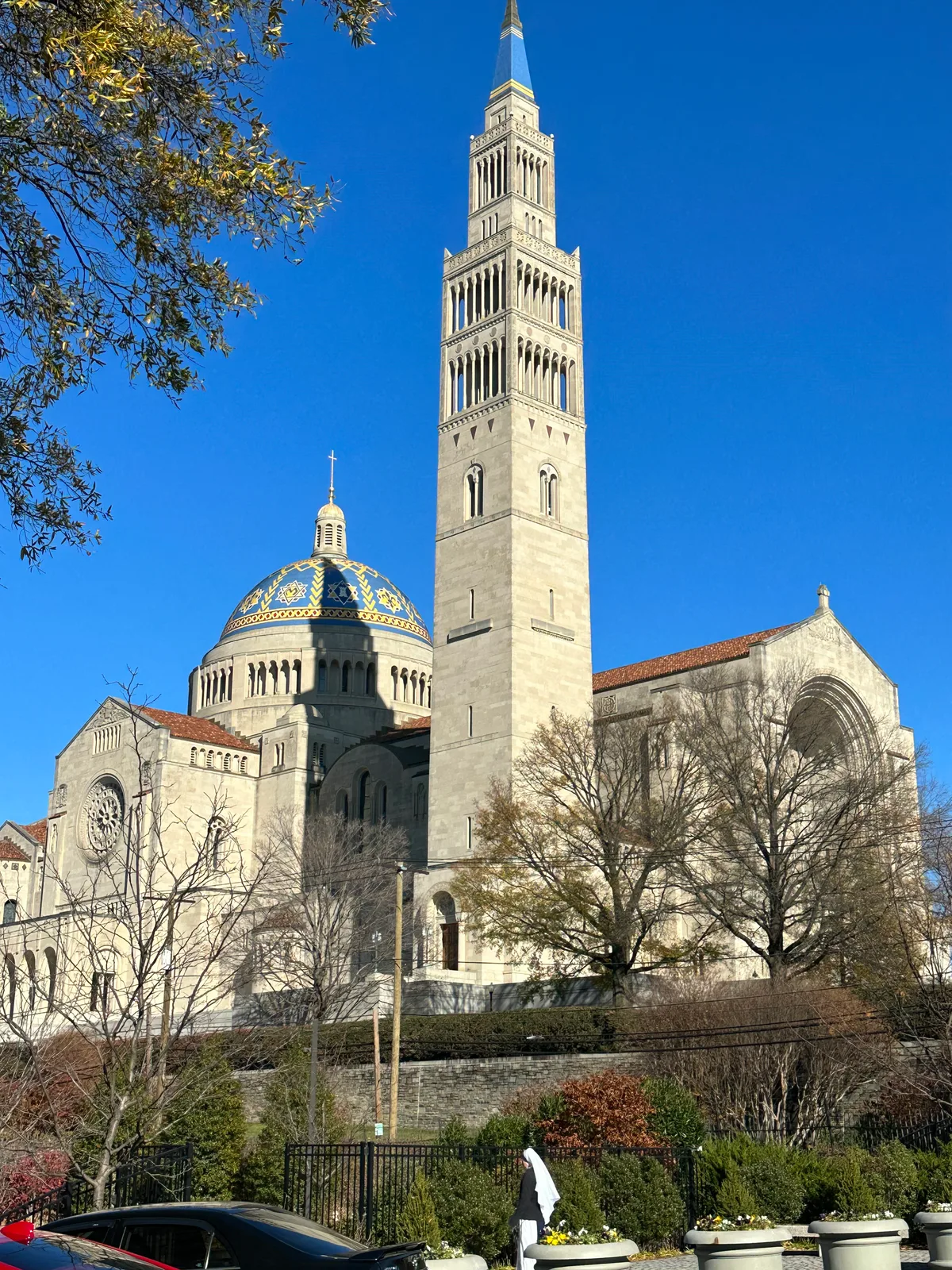 The Basilica of the National Shrine rises against a deep blue midday sky, with its tall pale bell tower and blue-and-gold mosaic dome framed by bare winter trees. In the foreground, parked cars and garden planters sit below the stone façade and arched entrances.