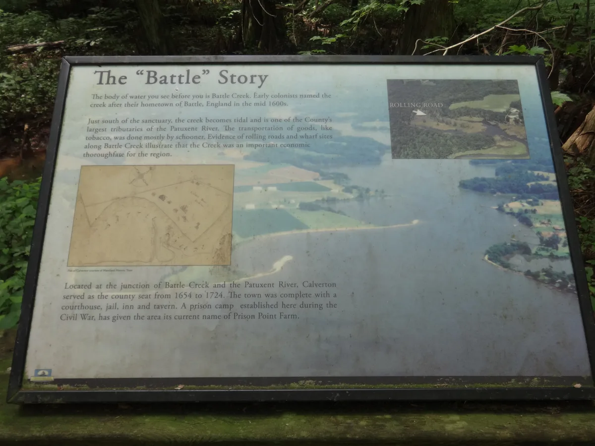 A weathered interpretive sign titled “The ‘Battle’ Story” stands in front of dense swamp greenery, with a faded aerial map and small inset photo about Battle Creek and the Patuxent River. The sign’s pale panel is framed by dark trim and set against shadowy cypress foliage, giving the scene a quiet, damp woodland feel.