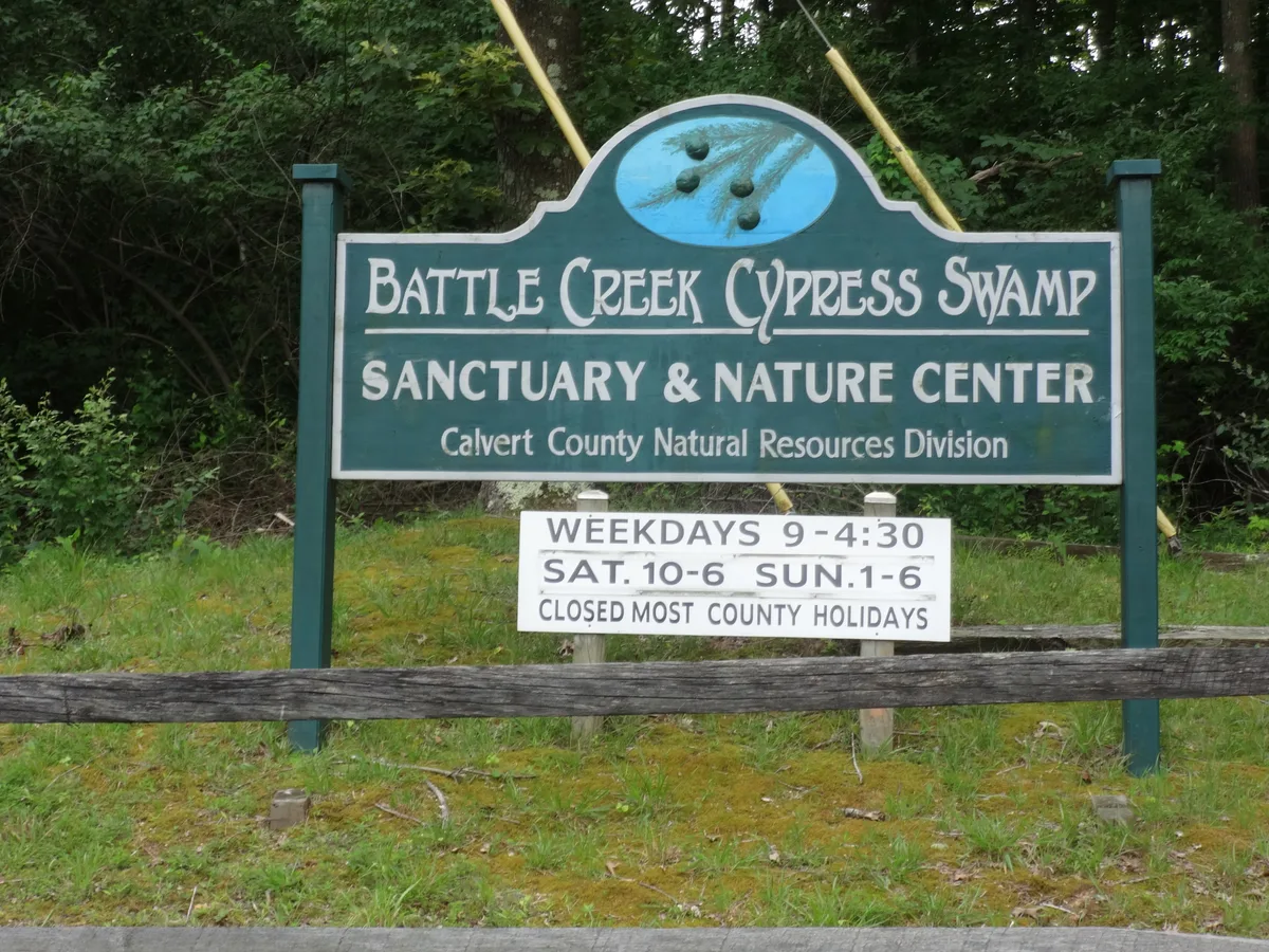 A green roadside sign for Battle Creek Cypress Swamp Sanctuary & Nature Center stands in front of dense trees and mossy grass, with the hours posted on a smaller white sign below. A weathered wooden rail runs across the foreground, and the scene has a quiet, wooded feel.