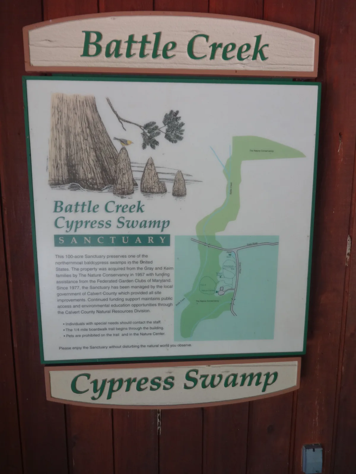A wooden interpretive sign for Battle Creek Cypress Swamp fills the frame, with a hand-drawn cypress tree, boardwalk map, and green lettering on a red-brown wall. The sign’s illustration and sanctuary details suggest the swamp’s old-growth trees and boardwalk trail.