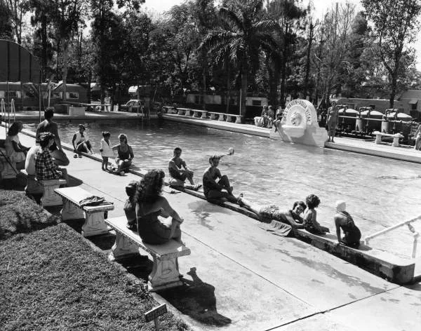 Sunlit black-and-white scene of a community swimming pool lined with low benches, where several people sit and lounge along the pool edge and in the shallow water. Palm trees, dense shade trees, and a circular pool sign frame the relaxed mid-century setting.