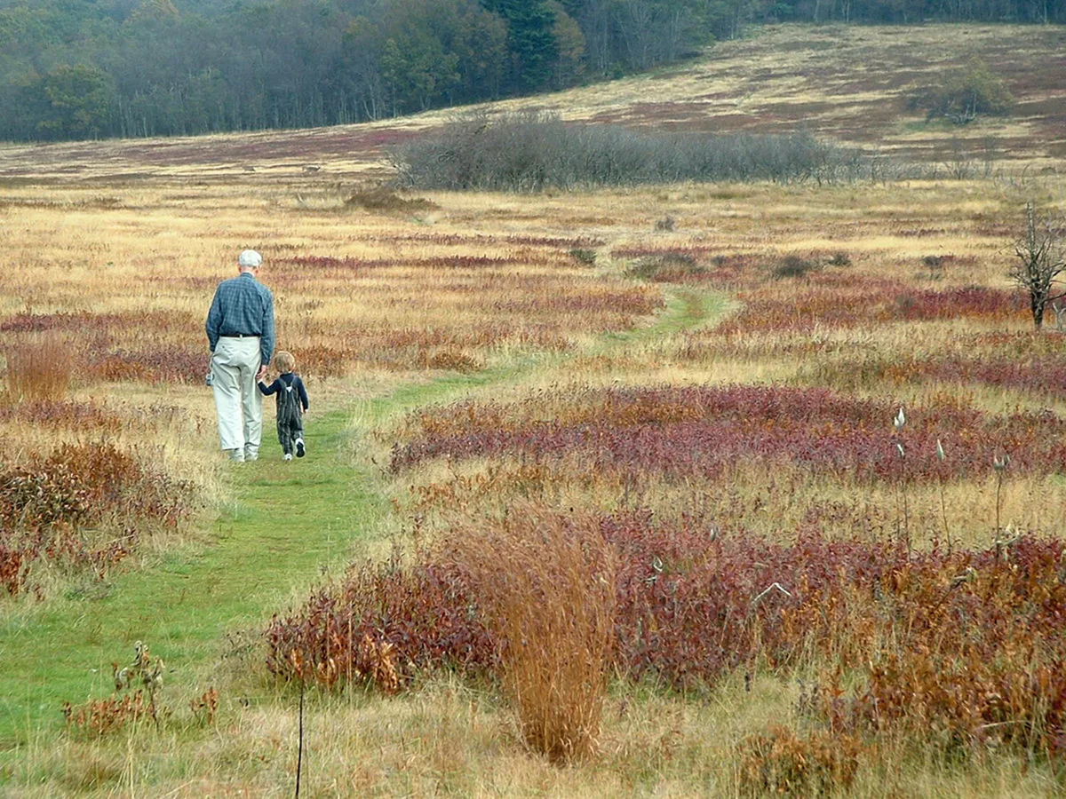An older man and a small child walk hand in hand along a narrow green path through Big Meadows, surrounded by tawny grass and patches of rusty red wild plants in autumn light. Dark wooded hills rise in the background, giving the open meadow a quiet, expansive feel.
