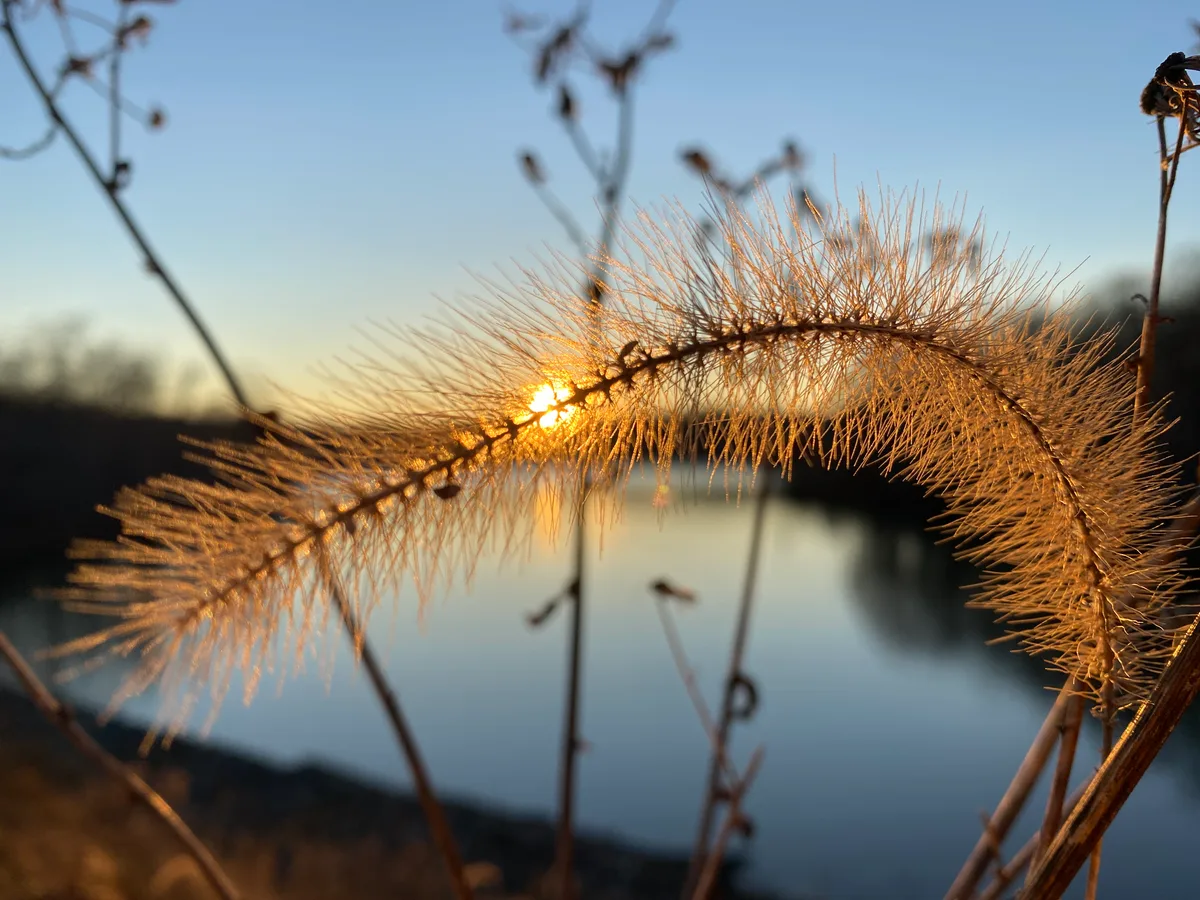 Black Hill Regional Park