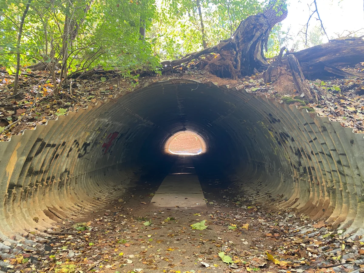 A ribbed corrugated culvert tunnel cuts through a leafy wooded bank, with roots and fallen leaves draped over the top and a bright opening glowing at the far end. Sunlight filters through the green canopy, highlighting the damp, earthy ground and the dark, arched interior.