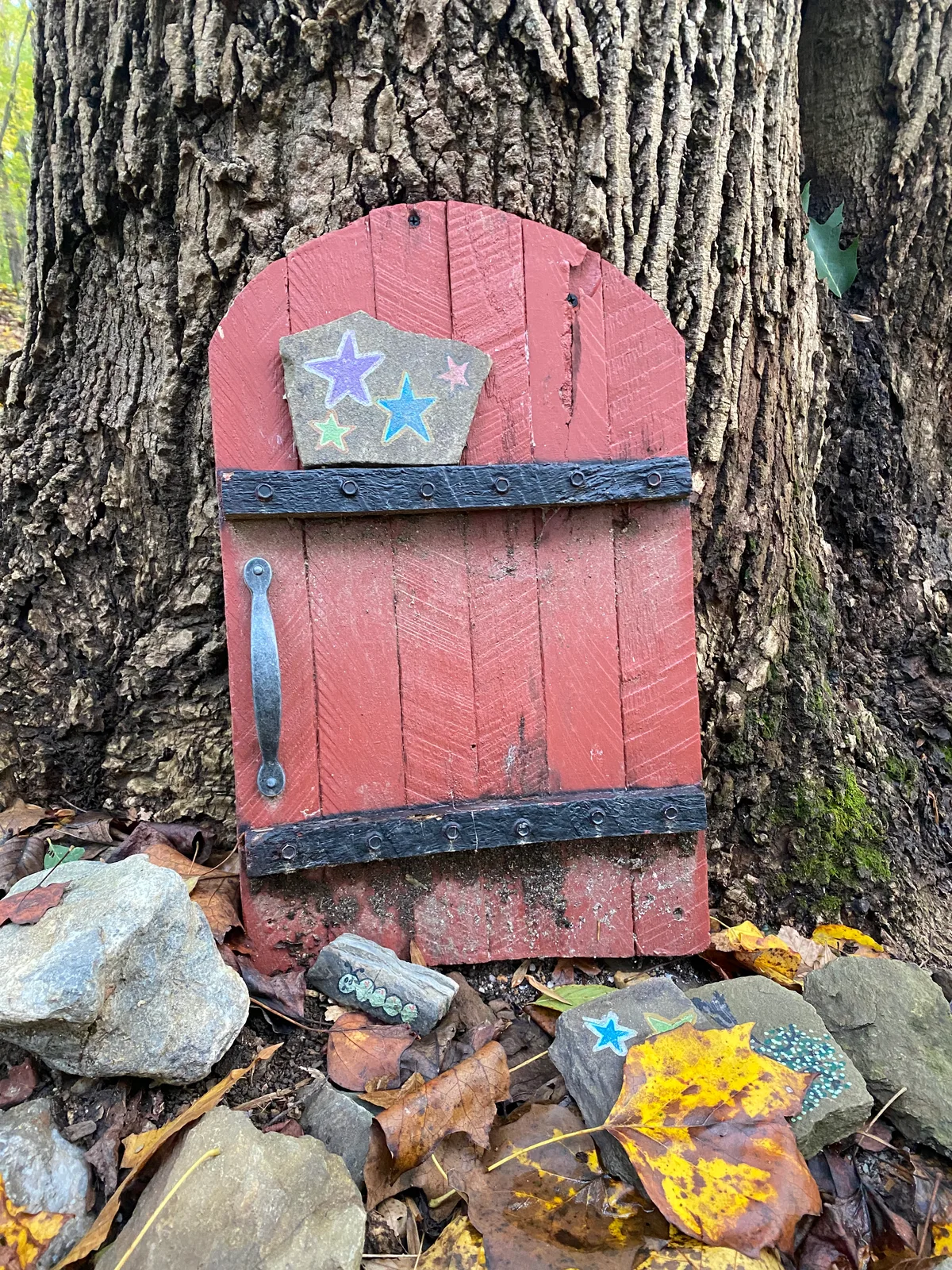 A tiny red painted door with black hinges is set into the base of a rough tree trunk, decorated with colorful star stones and surrounded by fallen autumn leaves and rocks. The close-up composition highlights the whimsical details and textured bark.