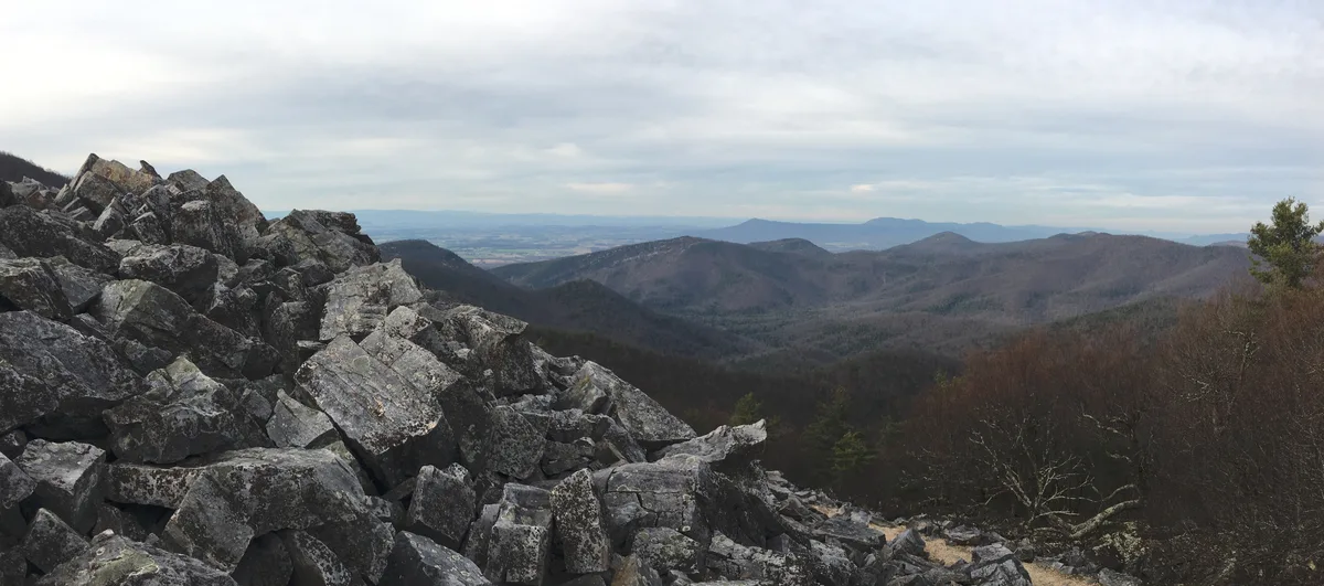 Jagged gray quartzite boulders fill the foreground of Blackrock Summit, dropping away to hazy blue ridges and a wide valley under a pale, clouded sky. Sparse late-season trees cling to the slope at right, emphasizing the stark, lunar feel of the rocky overlook.