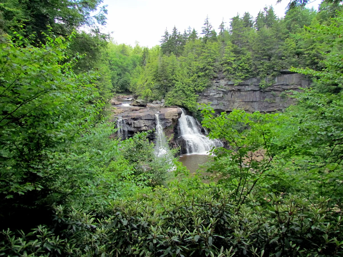 Blackwater Falls State Park