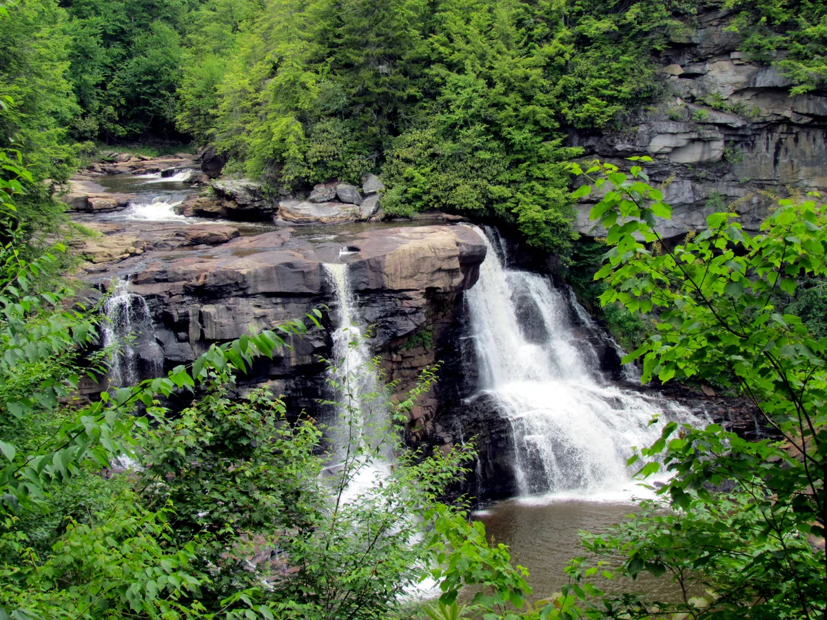 A wide view of Blackwater Falls shows tannin-darkened water spilling over layered sandstone ledges into a narrow pool, framed by dense green hemlocks and summer foliage. The waterfall drops in multiple streams, with wet rock faces and a misty, shaded canyon creating a lush, secluded feel.