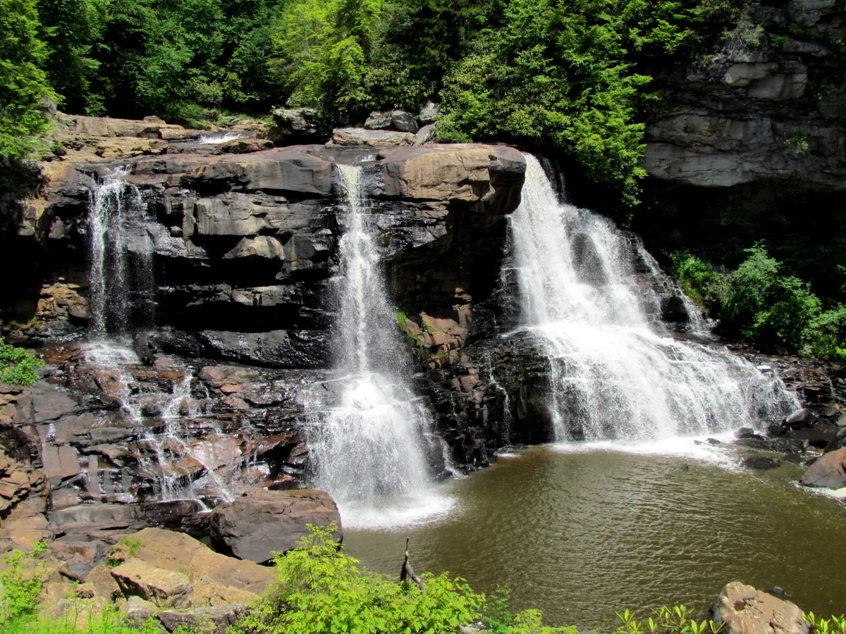 Blackwater Falls spills in three white streams over a dark sandstone ledge into a tannin-stained pool below, framed by lush green hemlocks and rocky canyon walls. Sunlight brightens the falls and surrounding foliage, creating a crisp, summer-green scene.