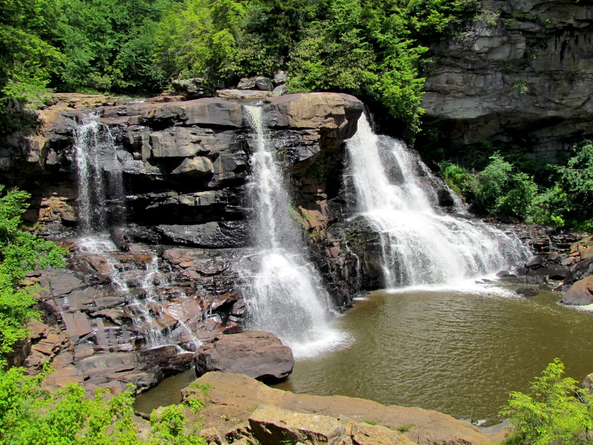 Blackwater Falls spills in several white ribbons over a dark sandstone ledge into a tan, tannin-stained pool below. Bright green summer foliage frames the rocky canyon, with wet rock surfaces catching the morning light.