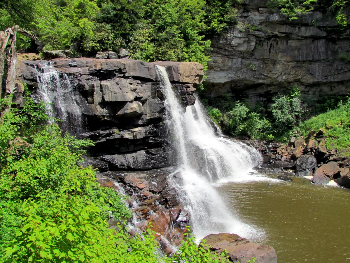 Blackwater Falls spills in a bright white curtain over dark sandstone ledges into a brown-green pool, framed by lush summer greenery. The scene is sunlit and layered, with rough rock walls and dense canyon foliage surrounding the falls.