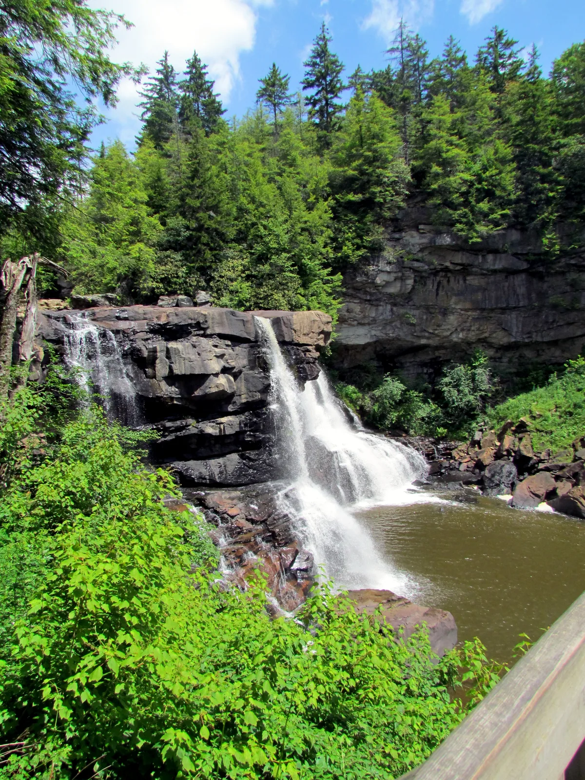 Blackwater Falls spills in a white, twin-stream cascade over dark sandstone into a tannin-colored pool, framed by steep rock walls and dense hemlock and spruce forest. Bright green foliage in the foreground and a blue sky with scattered clouds give the scene a lush summer look.