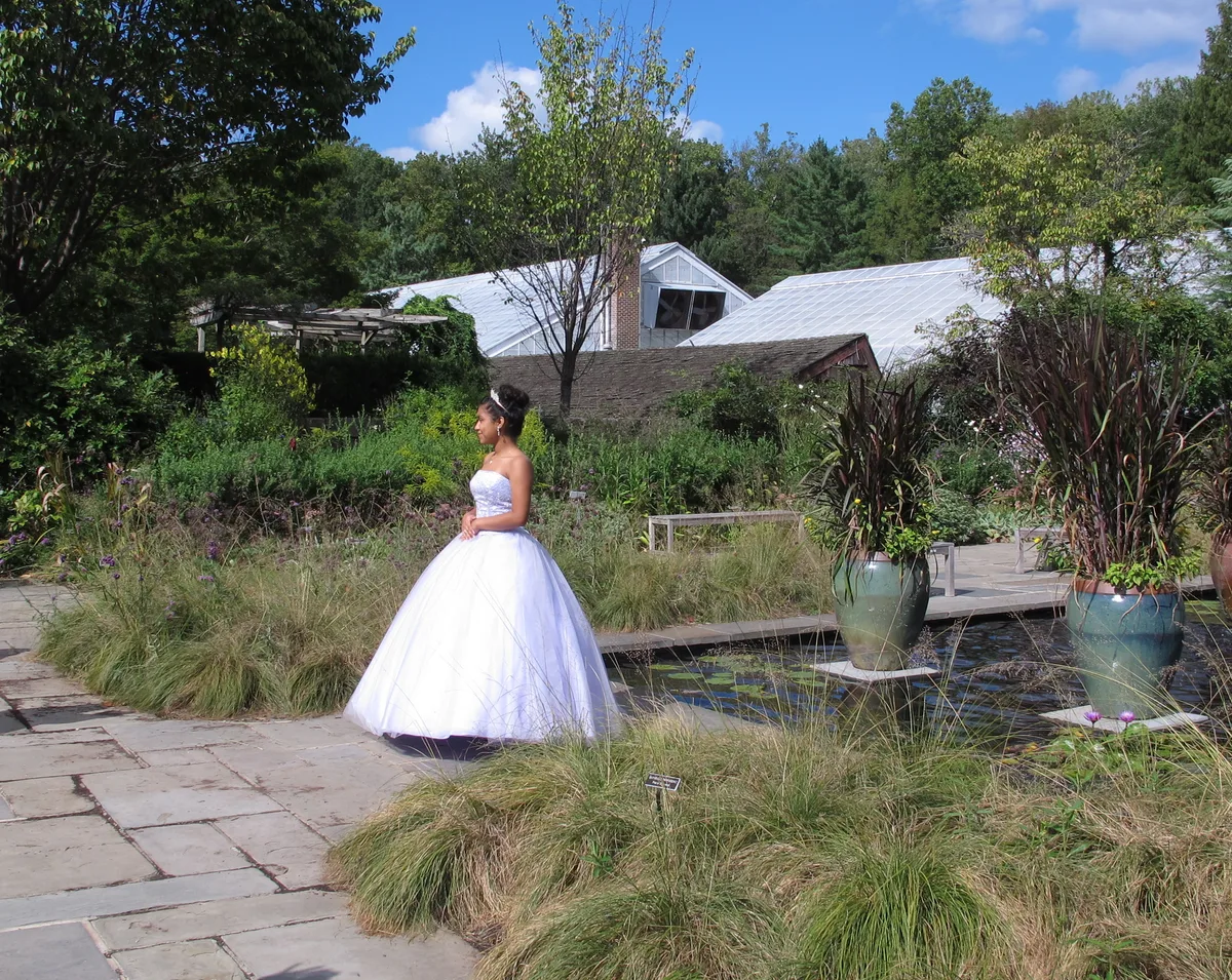 A young woman in a strapless white ball gown stands on a stone path beside a lily pond and tall ornamental grasses in a lush garden. Greenhouses, potted plants, and dense trees fill the background under a bright blue midday sky.