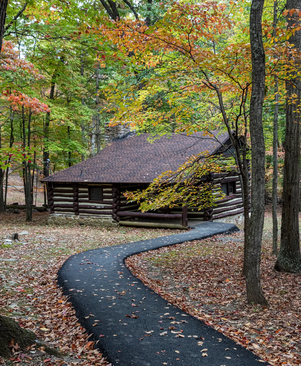 A rustic log cabin sits tucked among tall trees in early autumn, with orange and yellow leaves framing the scene. A dark, winding paved path leads up to the cabin through a leaf-covered forest floor.