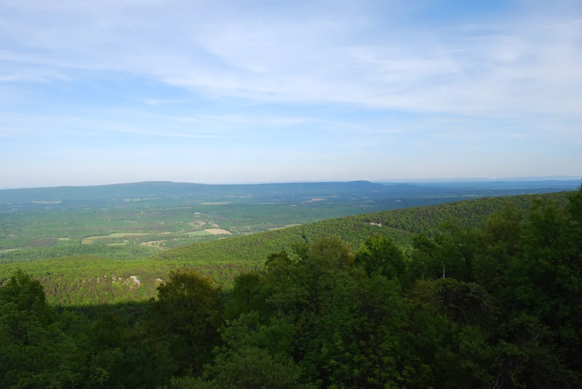 A broad morning view from Cacapon Mountain looks out over layered green ridges and a patchwork valley, with dense forest filling the foreground. Pale blue sky and soft haze flatten the distant horizon, giving the Appalachian landscape a calm, expansive feel.