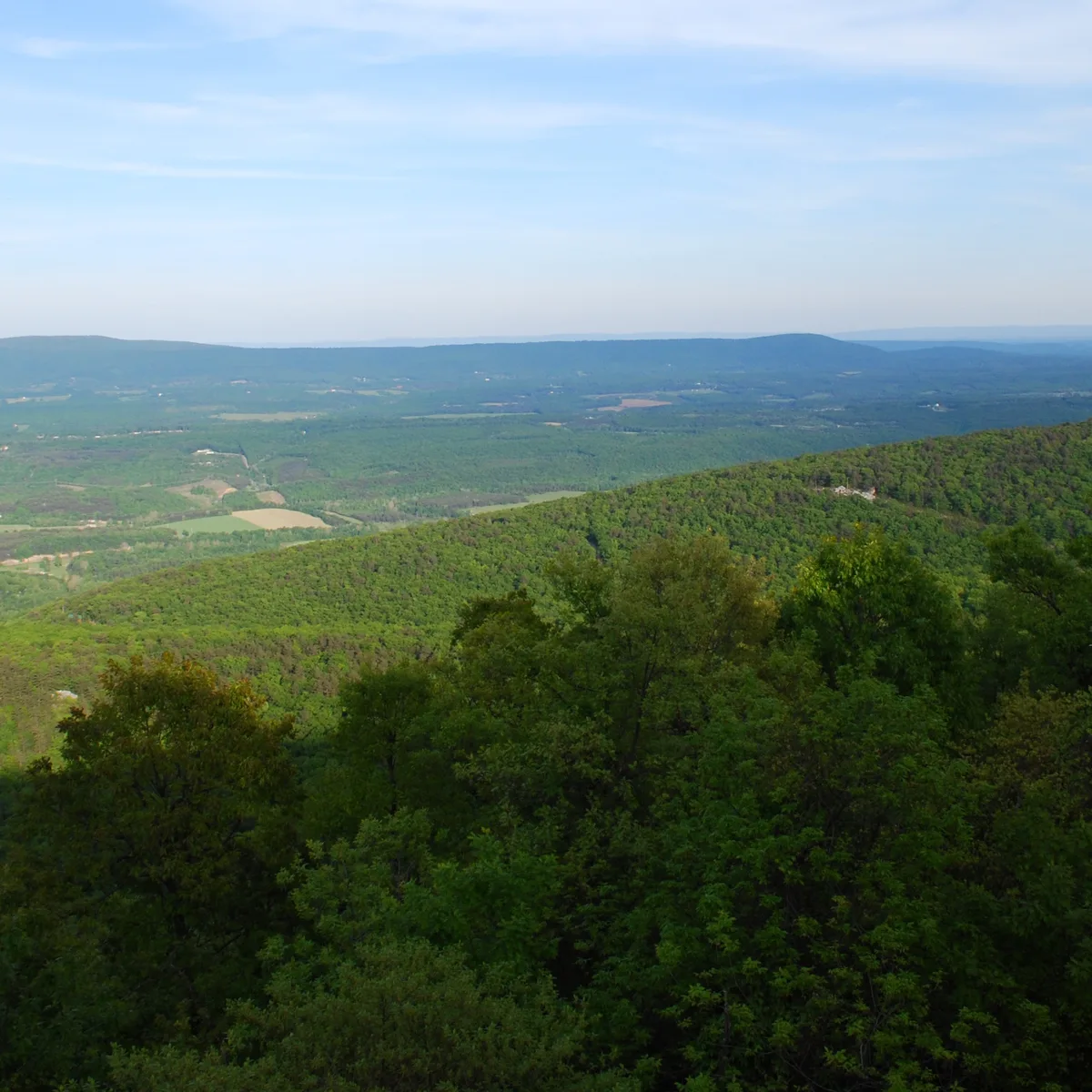 A wide view from a mountain overlook shows densely forested green ridges rolling into a broad valley, with patchwork fields and distant blue hills under a pale morning sky. The foreground is filled with leafy treetops, creating a layered Appalachian landscape.