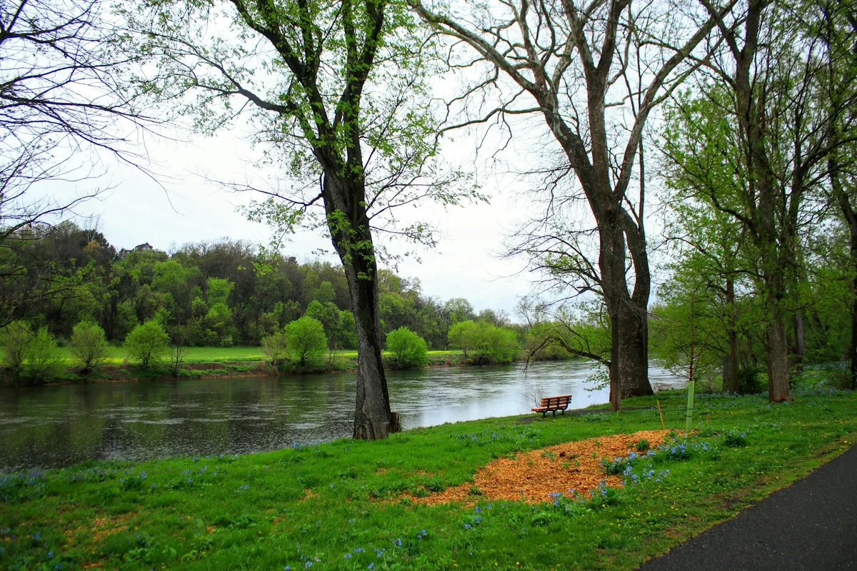 A calm river bends through a green park-like overlook, framed by tall trees with fresh spring leaves and bare branches. A lone bench sits beside the water under an overcast sky, with a wooded hillside and a house visible across the river.