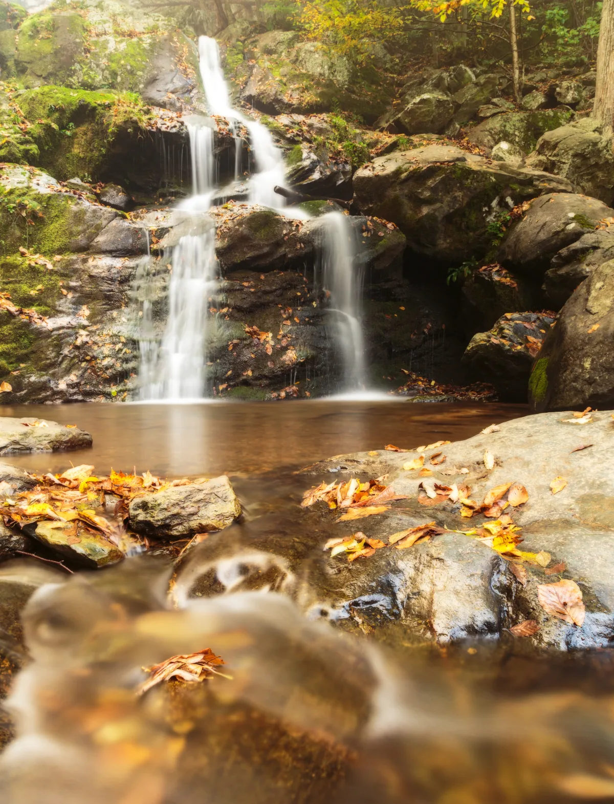 A small stepped waterfall spills over dark rock ledges into a shallow pool, with silky long-exposure water threading through mossy boulders and fallen autumn leaves. Hemlock trees and wet stone walls frame the shaded hollow in warm fall color.