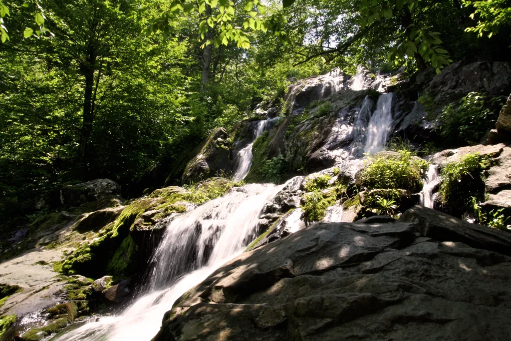 Sunlight filters through dense green hemlock and deciduous trees as Dark Hollow Falls tumbles in a stepped cascade over dark rock and mossy ledges. The long-exposure effect turns the water silky white against the shaded forest hollow.