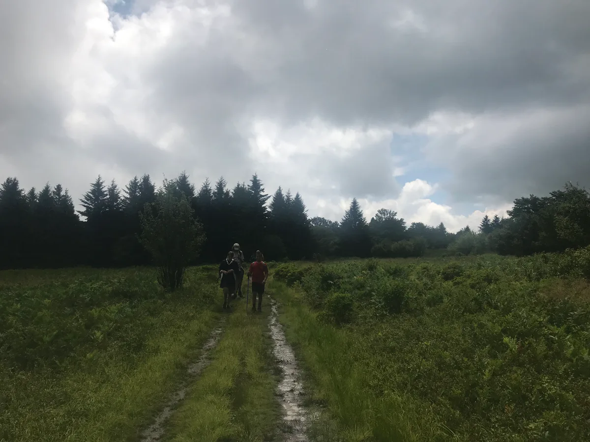 A muddy two-track trail cuts through a wide green meadow toward a dark line of spruce trees, with three hikers walking away under a sky filled with heavy gray clouds and a patch of blue. The low, moody light emphasizes the open plateau and damp, windswept feel of Dolly Sods.