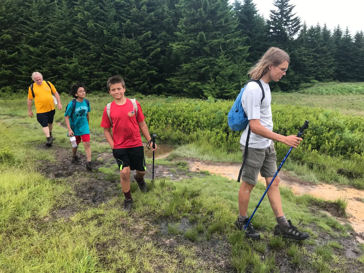 Four hikers walk along a muddy, grassy trail through Dolly Sods’ open heath, with dark red spruce forest rising behind them. The overcast light softens the green plateau and highlights the wet ground and low shrubs.