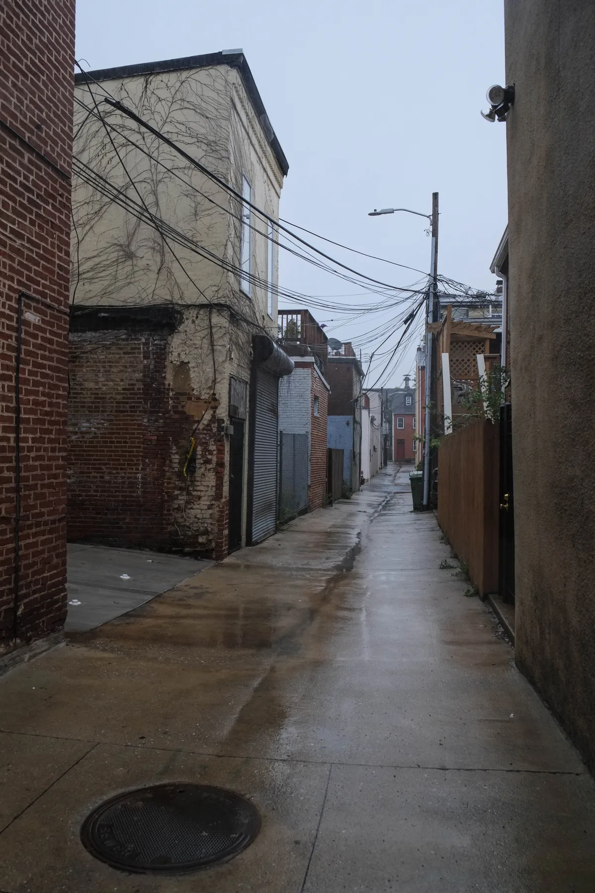 A narrow wet alley in Federal Hill stretches away between brick and stucco rowhouses, with tangled overhead utility wires and a gray blue-hour sky above. The slick pavement reflects the muted light, while ivy climbs the side of one building and the passage narrows toward distant homes.