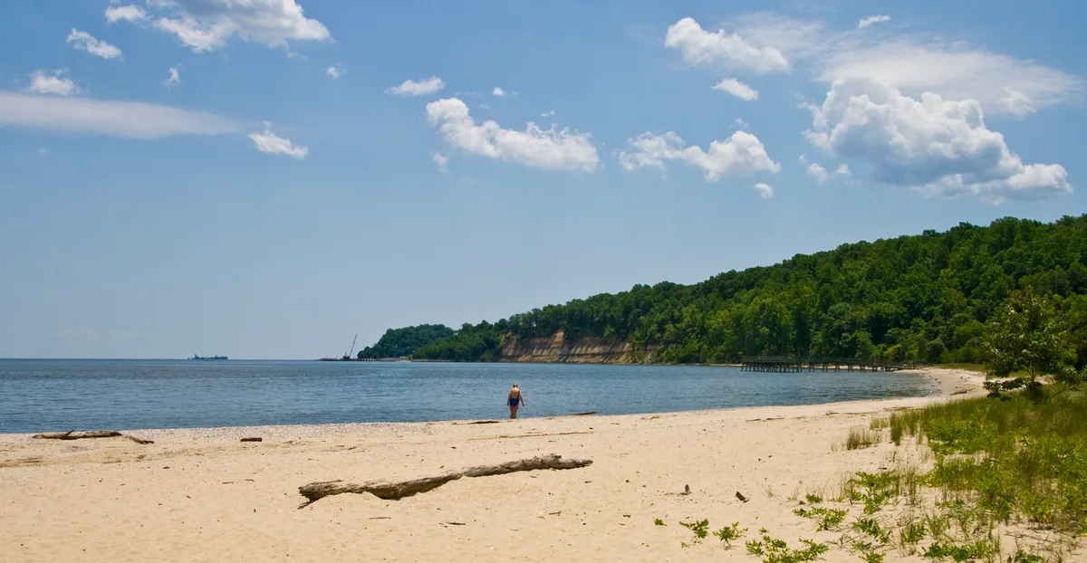 Wide view of a quiet Chesapeake Bay beach with pale sand, driftwood, and a lone person standing near the water under a bright blue sky with scattered clouds. Forested bluffs and a small pier frame the shoreline, giving the scene an undeveloped, secluded feel.