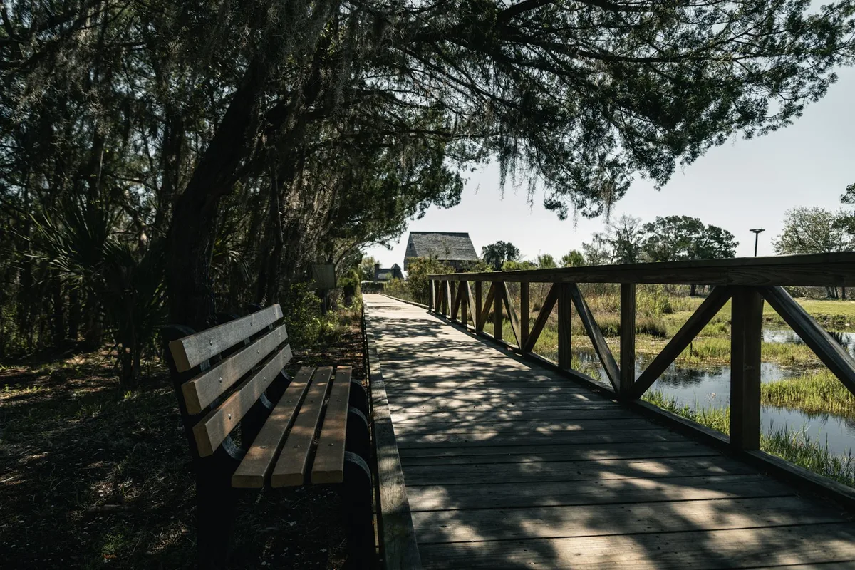 A shaded wooden boardwalk leads through tall coastal trees beside a calm marsh, with a simple bench in the foreground and a small weathered building at the far end. Sunlight filters through the canopy, casting dappled shadows across the planks and the water beyond.