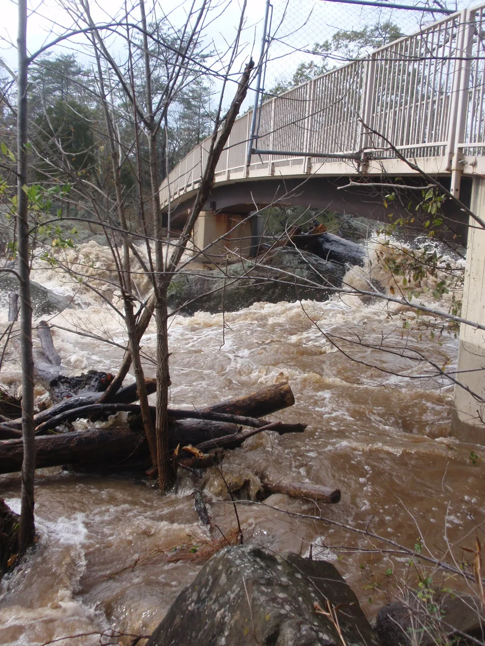 A curved white boardwalk bridge crosses above the churning, muddy water of Great Falls, with dark rocks, driftwood, and bare branches filling the foreground. The scene feels raw and wintry, with the rushing river framed tightly beneath the bridge.