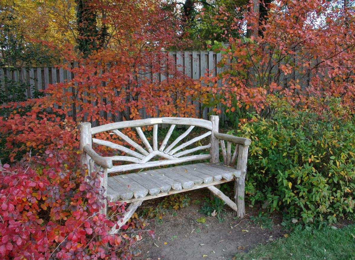 A rustic wooden bench sits in a small garden alcove, surrounded by dense shrubs in peak autumn color—reds, oranges, and golds—against a weathered vertical fence. The midday light brings out the textures of the carved bench and the layered fall foliage.