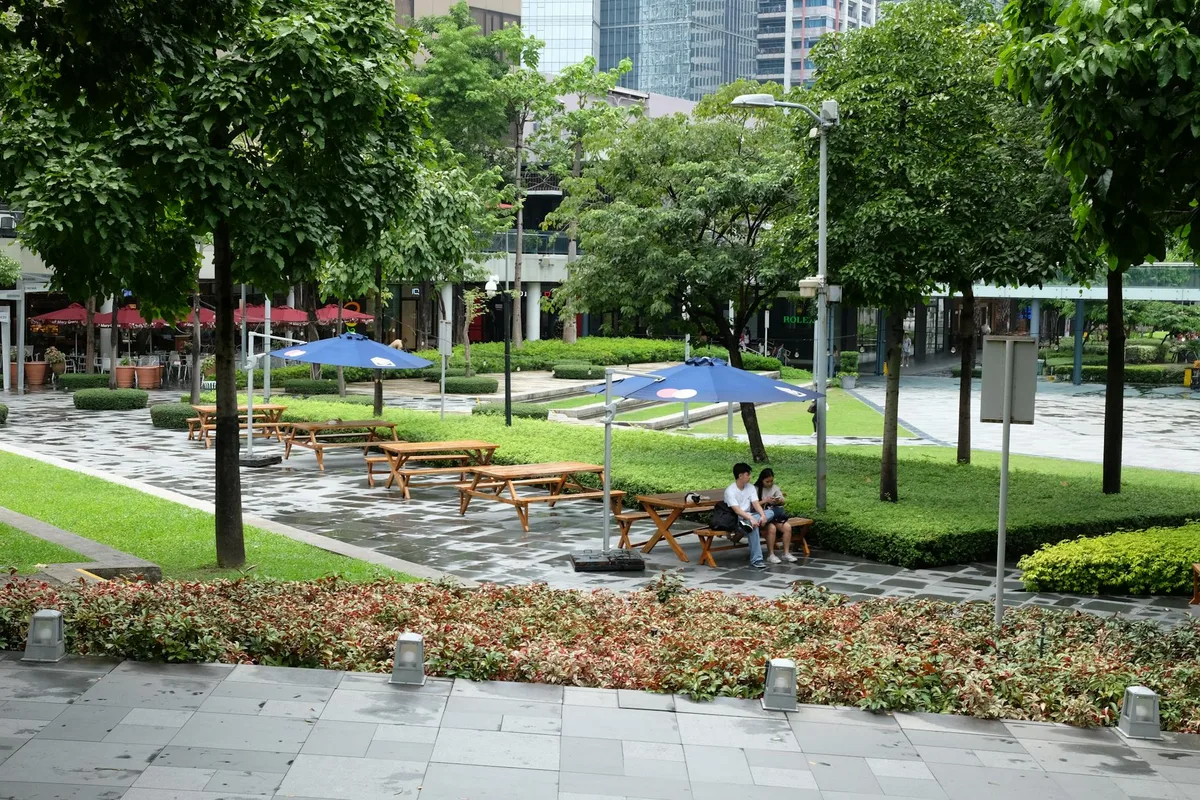 Tree-lined urban plaza in the morning rain, with wet stone paving, neatly trimmed hedges, and picnic tables under blue umbrellas. Two people sit on a bench near the center, while glassy office buildings rise behind the dense green canopy.
