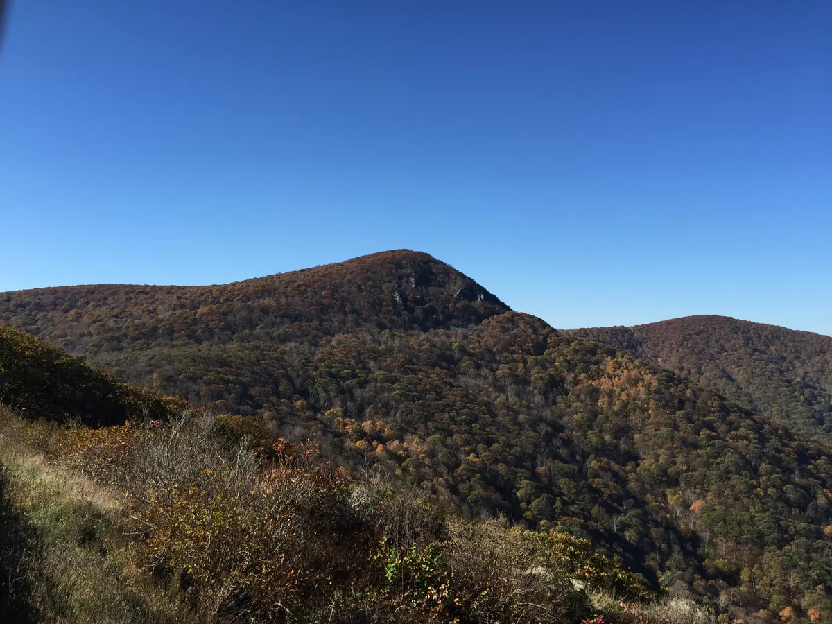 A wide view looks southwest across the wooded slopes of Hawksbill Mountain under a clear blue sky, with early autumn colors mottling the ridgeline. Grasses and shrubs in the foreground edge the cliff-top overlook, adding depth to the panoramic scene.
