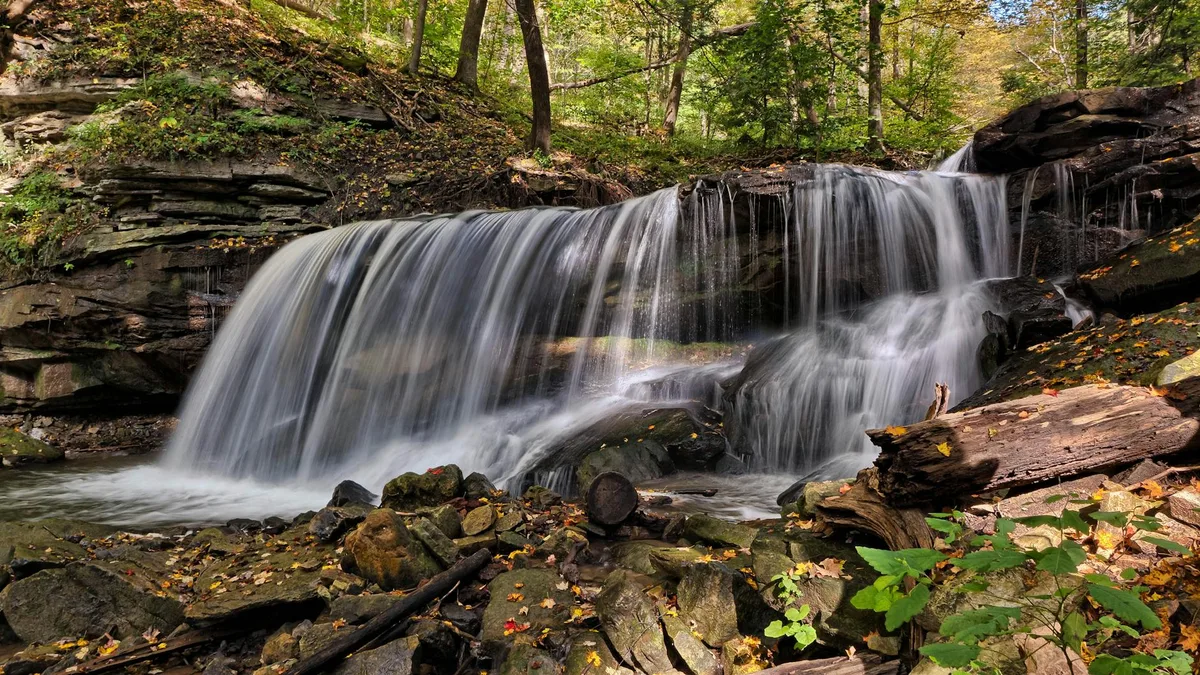 A small waterfall spills over a layered rock ledge into a shaded forest pool, with silky long-exposure water contrasting against mossy stones and fallen logs. Sunlit green leaves and scattered autumn-colored leaf litter frame the scene.