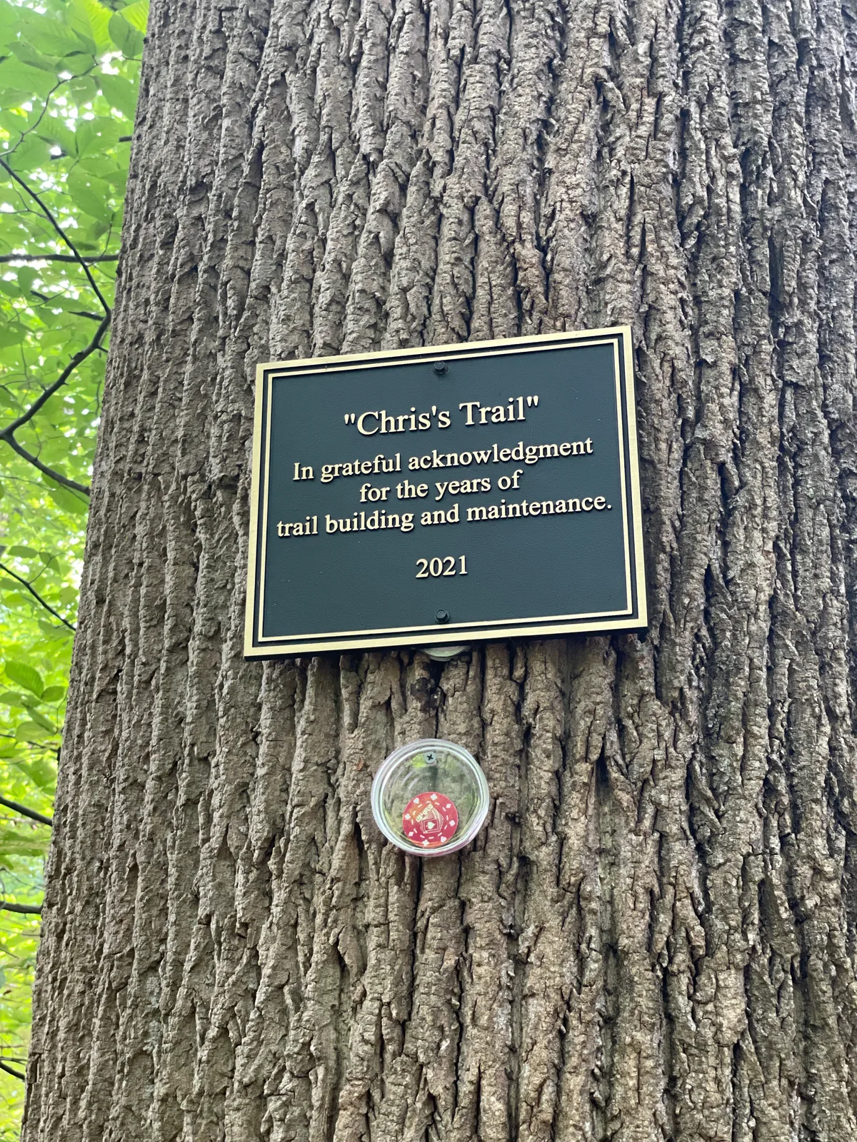 A close-up of a large tree trunk shows a dark plaque reading “Chris’s Trail” and a small clear marker mounted below it, with bright green leaves filling the soft background. The rough bark texture and leafy canopy suggest a shaded woodland trail in late spring or summer.