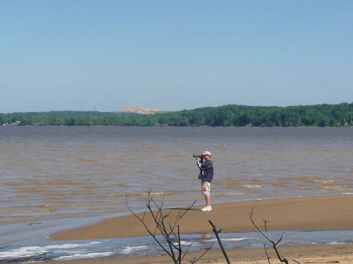 A person stands on a sandy riverbank at Mason Neck, looking through binoculars across the wide, wind-rippled water toward a green tree-lined peninsula. Bare branches frame the foreground, and the hazy blue sky gives the scene a calm, open feel.