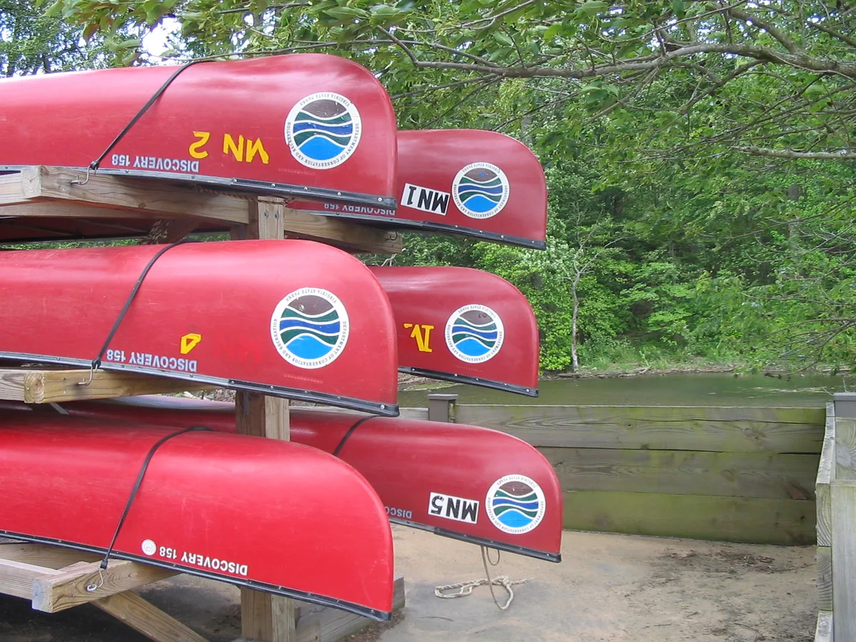 Several red canoes are stacked on wooden racks beside a calm, tree-lined shoreline, with their pointed ends jutting toward the water. The scene feels quiet and shaded, with dense green foliage and a narrow strip of marshy bank in the background.