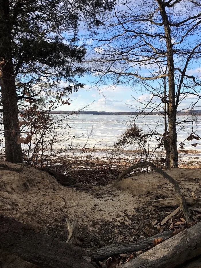 Leafless trees frame a frozen stretch of river under a pale winter sky, with sandy, root-tangled shoreline in the foreground. Dark branches and evergreen limbs create a natural border around the icy water and distant low horizon.
