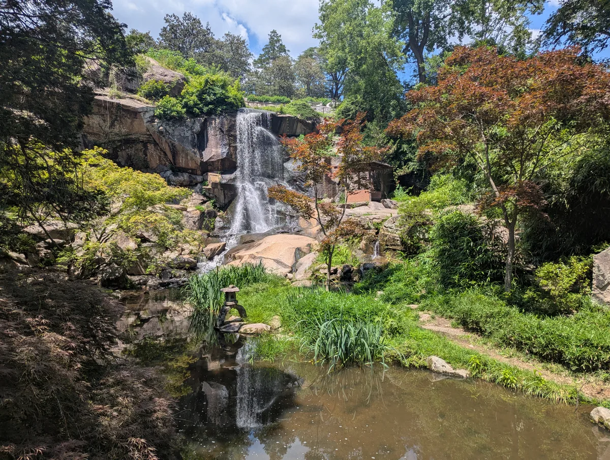A waterfall spills over layered rock into a still pond in Maymont’s Japanese Garden, framed by lush summer greenery and a few small ornamental trees with reddish leaves. The scene is sunlit and tranquil, with the falls reflected in the water below.