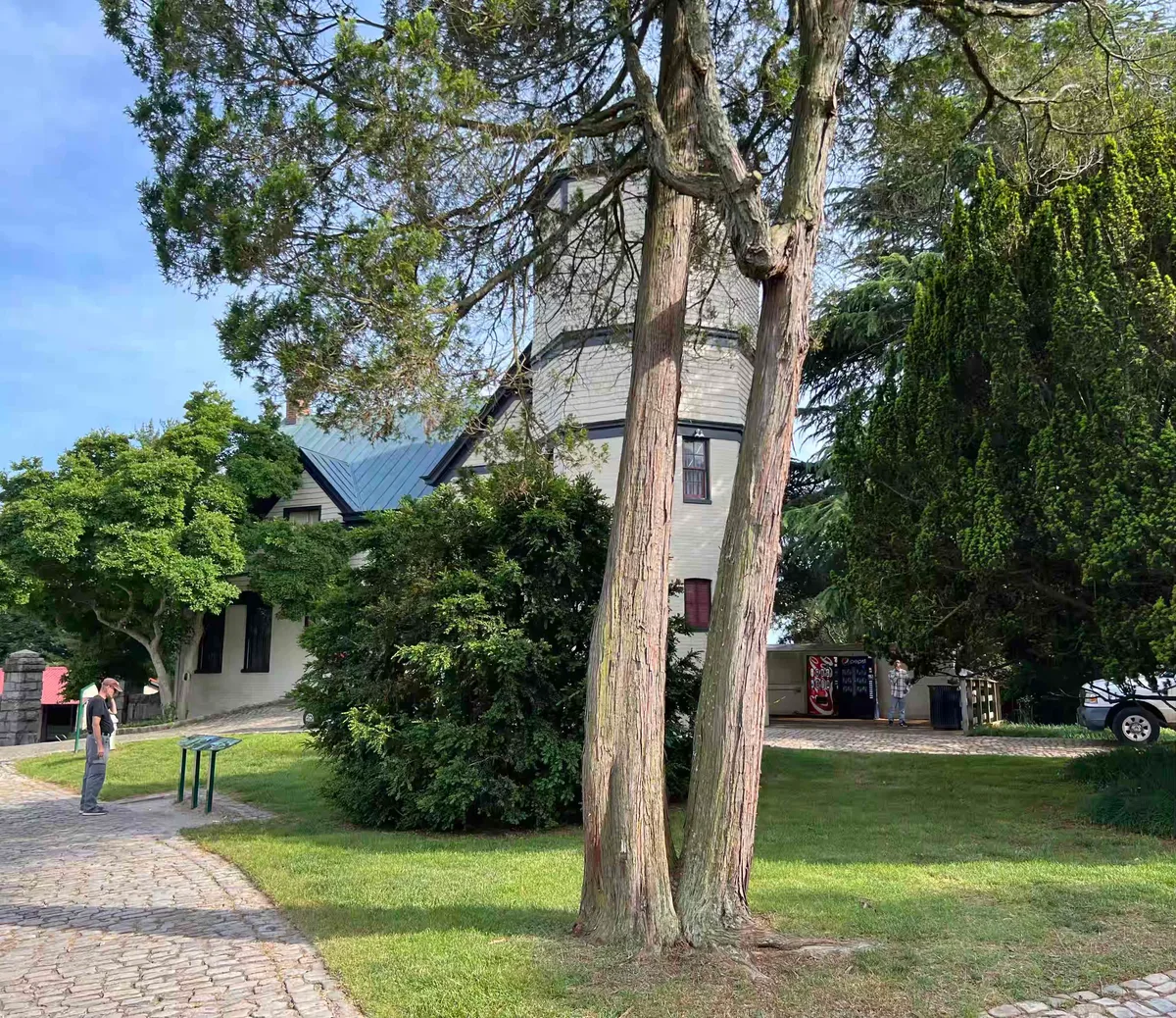 Tall trees and dense shrubs frame a pale Victorian-style building with a blue metal roof, partly hidden behind the greenery in bright morning light. A cobblestone path and small visitors in the foreground give the garden scene a quiet, lived-in feel.