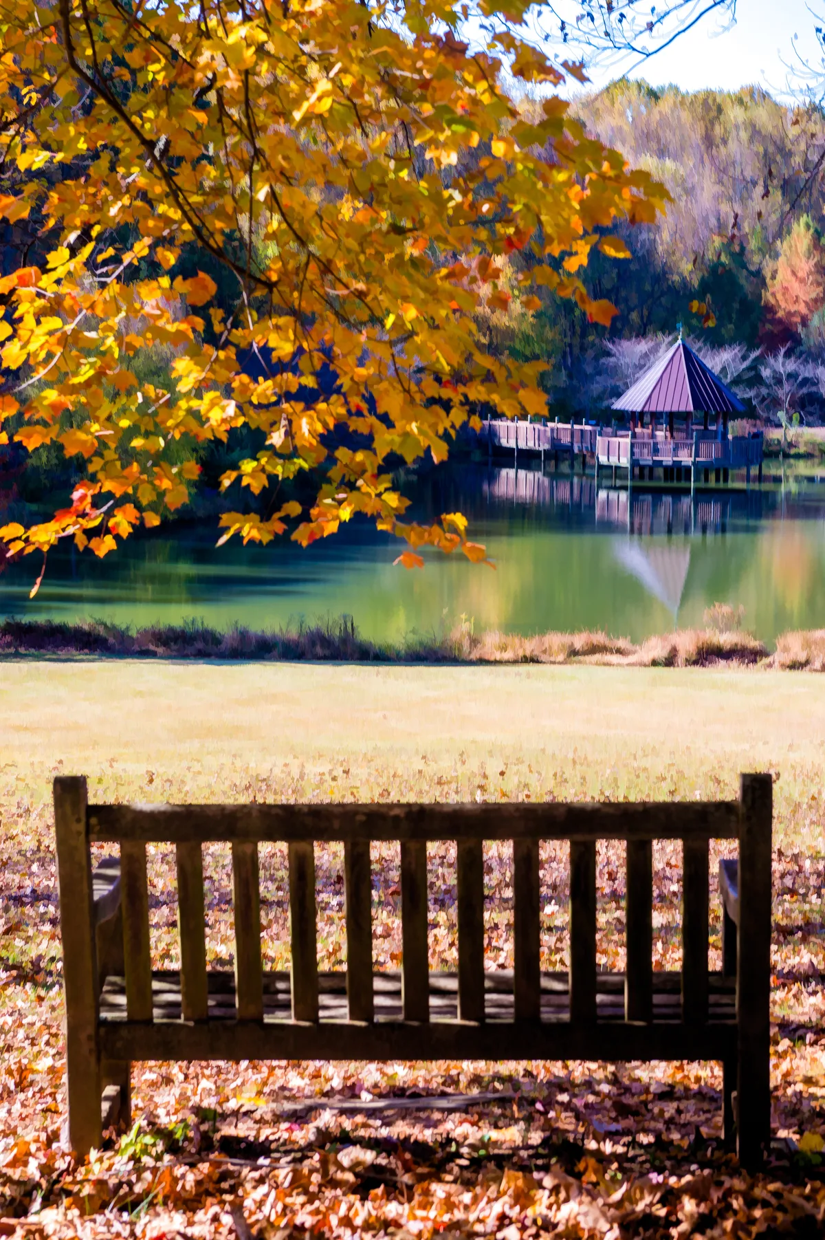 A wooden bench sits in the foreground under glowing orange autumn leaves, overlooking a calm green lake at Meadowlark Botanical Gardens. Across the water, a small pavilion on a dock is mirrored in the surface, with trees in peak fall color framing the scene.