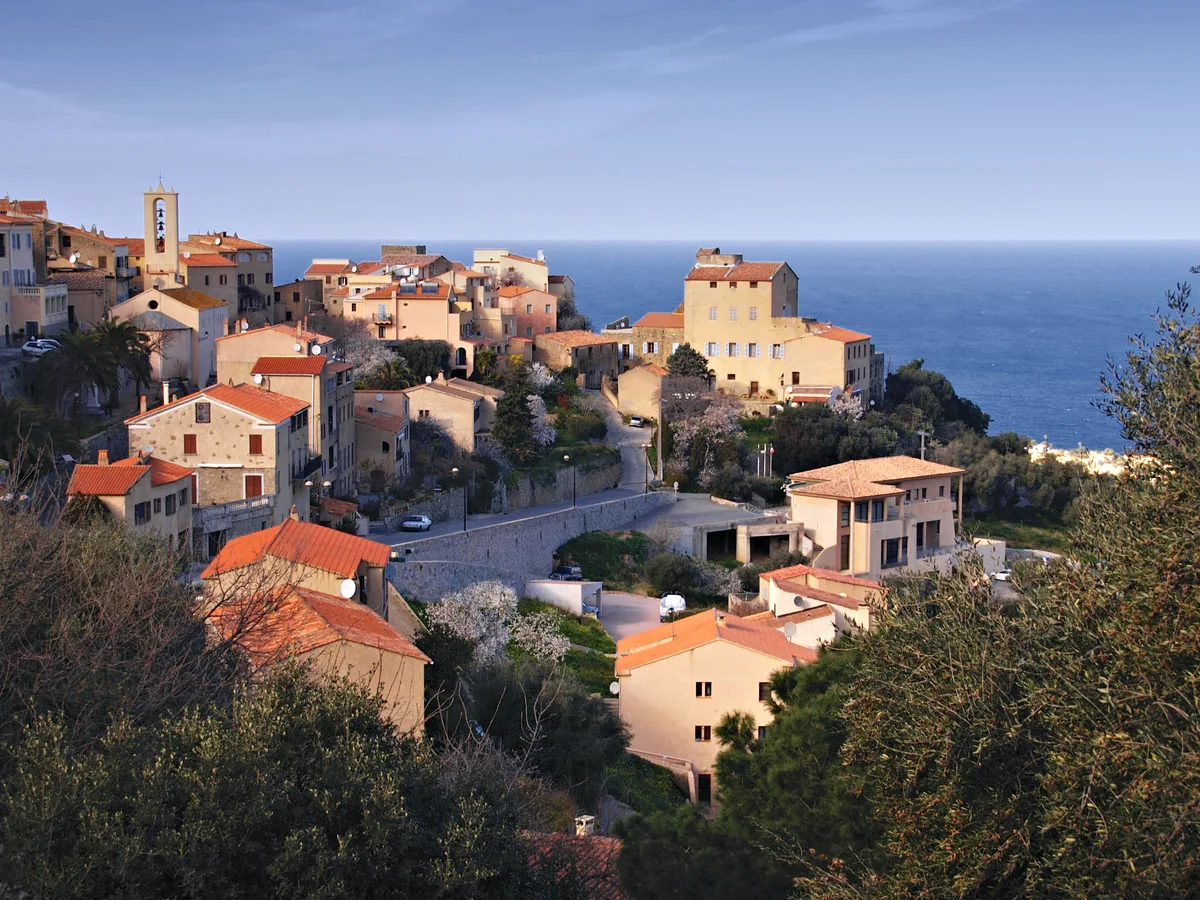 Sunlit terracotta-roofed buildings cluster on a hillside above the blue sea, with a small church tower rising near the left side of the village. The warm morning light highlights pale stone walls and winding roads, while trees frame the foreground and open water fills the horizon.