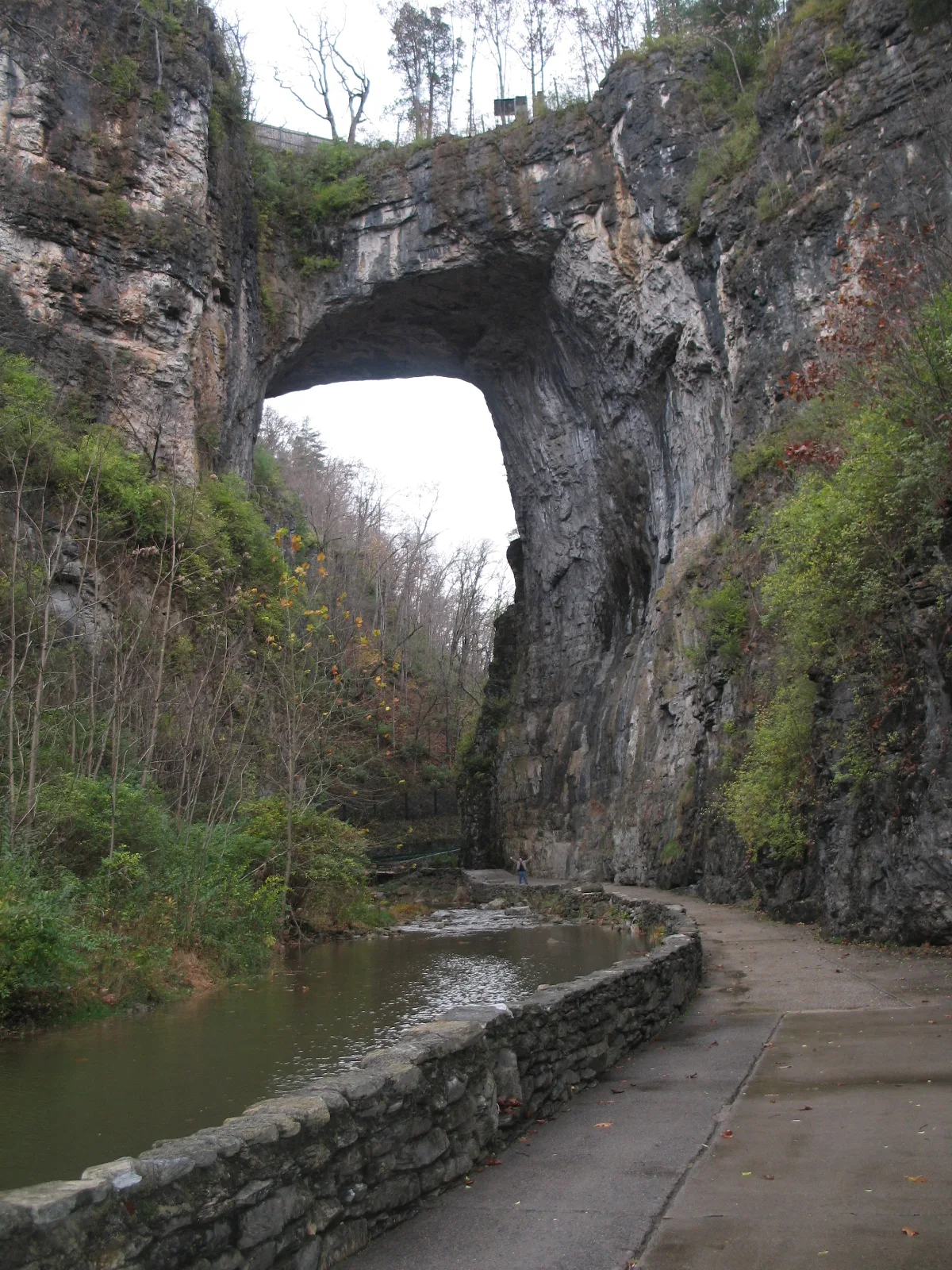 A towering limestone arch spans the narrow gorge above Cedar Creek, with sheer gray rock walls rising on both sides and a paved path curving along the water below. Sparse autumn foliage and a few bare trees frame the scene under a bright overcast sky.