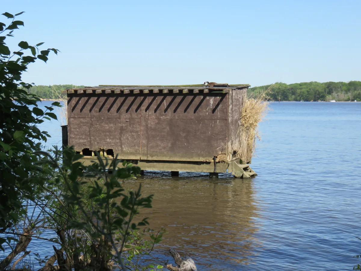 A brown nesting box sits on pilings in calm tidal water, framed by leafy branches in the foreground and a tree-lined shoreline in the distance. A bird is perched on the roof, with crisp shadows from the slatted overhang cutting across the weathered wall.