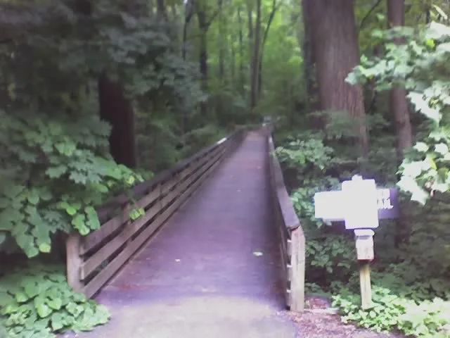 A narrow wooden footbridge stretches straight into a shaded forest, framed by dense green foliage and tall tree trunks on both sides. A small trail sign stands at the right edge, and the soft light gives the scene a quiet, secluded feel.