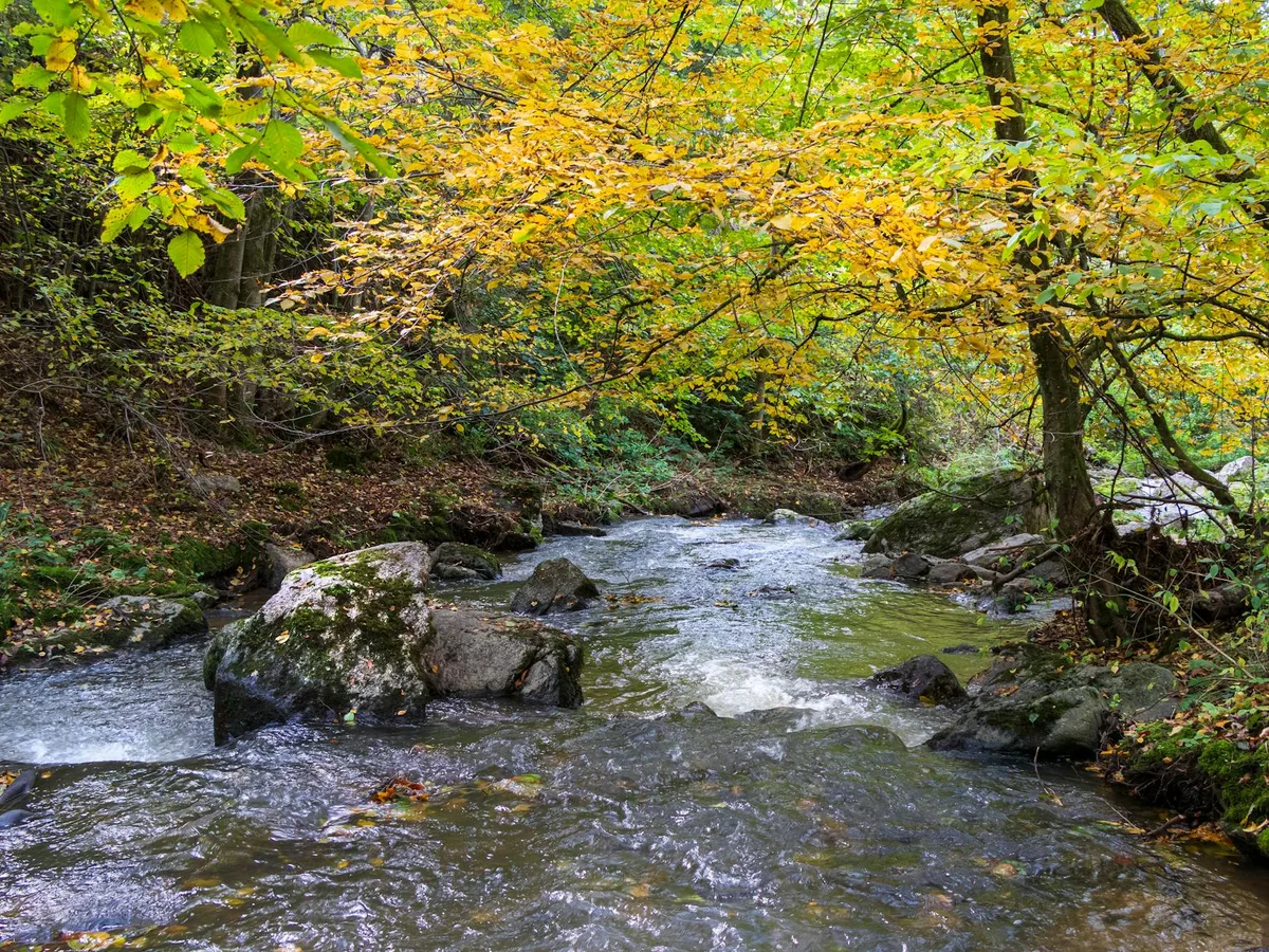 Overall Run Falls