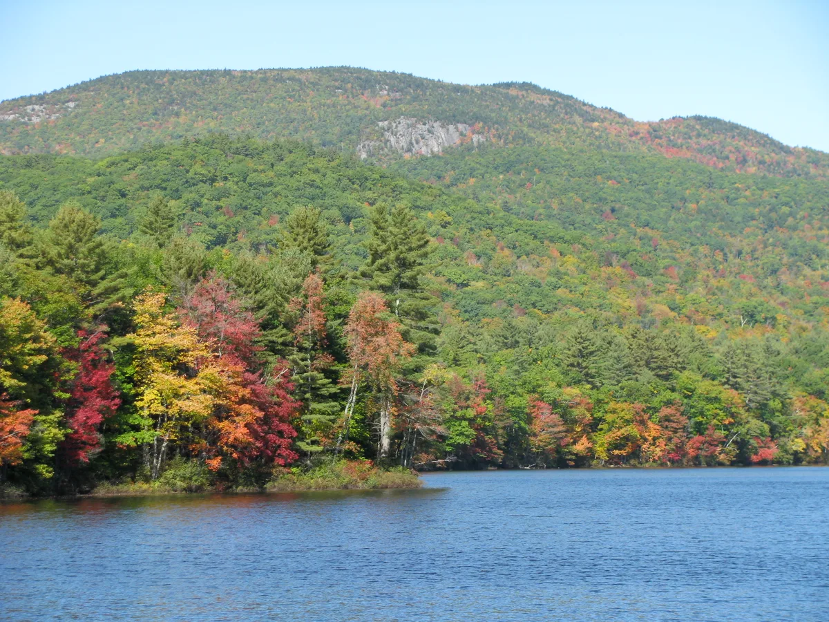 Blue reservoir water fills the foreground while a densely forested mountainside rises behind it, with patches of red, orange, and gold autumn color mixed among evergreens. A pale rock outcrop near the top of the ridge stands out beneath a clear blue sky.