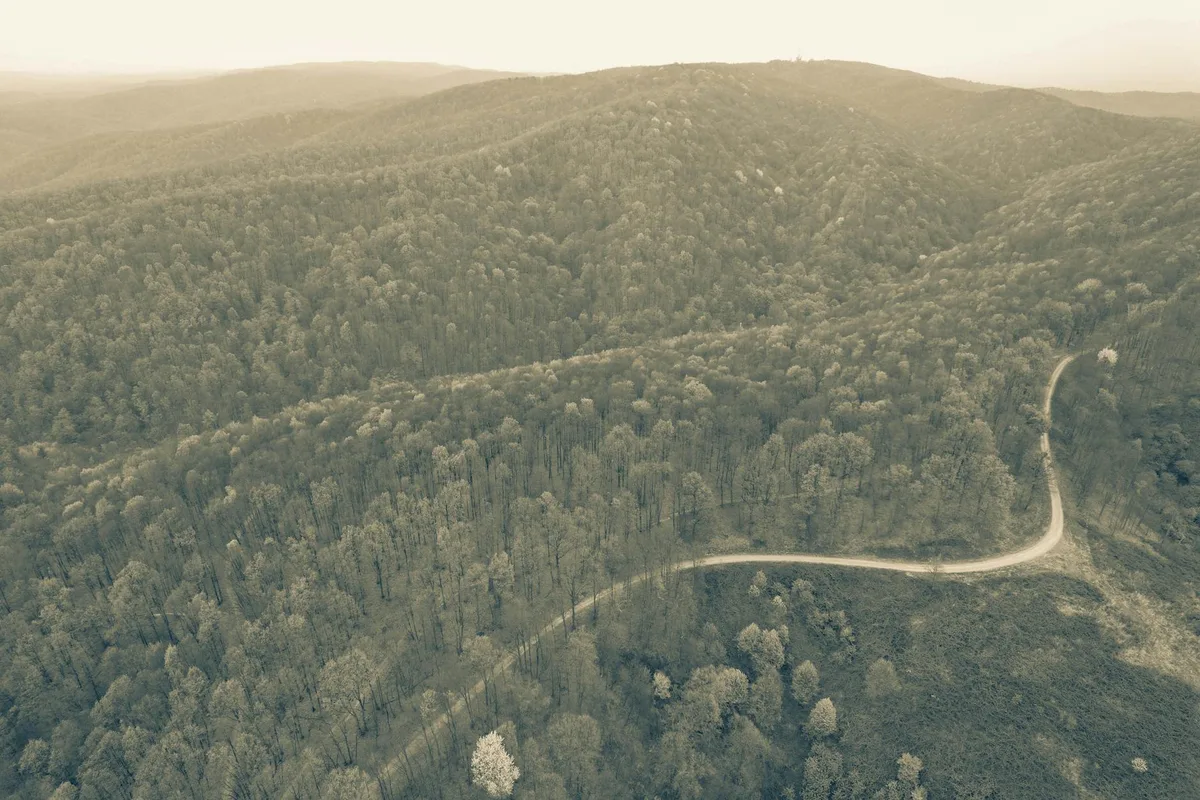 A hazy morning aerial view shows a pale dirt road curving through dense hardwood forest on rolling Blue Ridge foothills, with layered ridgelines fading into the distance. The soft light gives the landscape a quiet, muted green-gray tone.