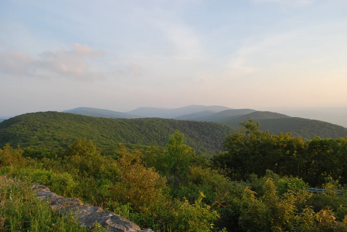 Soft sunrise light washes over layered blue-green mountain ridges from a grassy overlook, with leafy foreground shrubs and a rocky edge framing the panoramic view. The sky is pale and hazy, fading from cool blue to warm peach near the horizon.