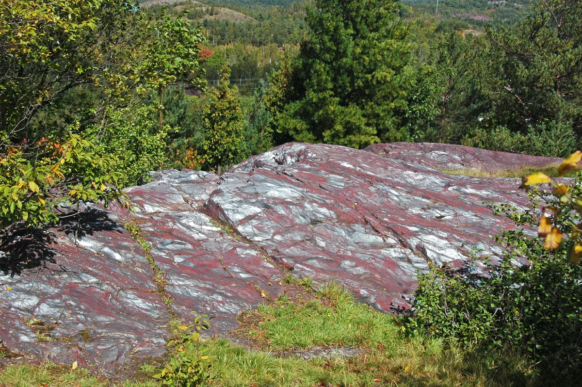 Sunlit red and silver banded rock fills the foreground, its smooth, striated surface framed by dense green trees and patches of grass. Low wooded hills rise in the background under clear daylight.